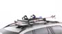 Aluminum Ski Carrier
